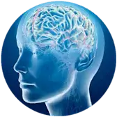 Audiovico