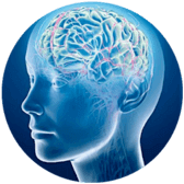 Audiovico