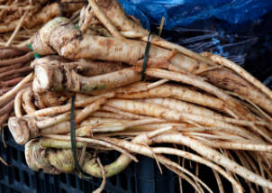 EXTRAIT DE RACINE DE GINSENG AMÉRICAIN