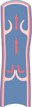 Veinaritin