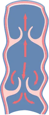 Veinaritin